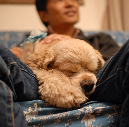 42711DSC_0170.jpg