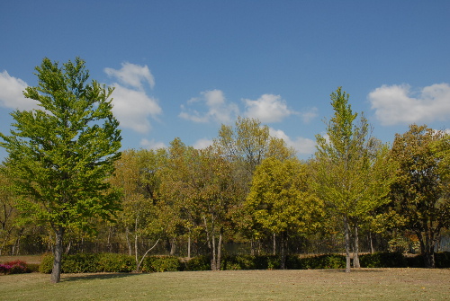 42802DSC_0190.jpg