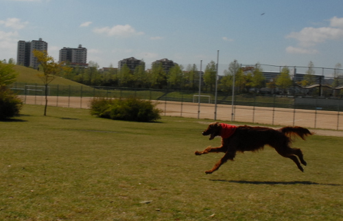 42803DSC_0191.jpg