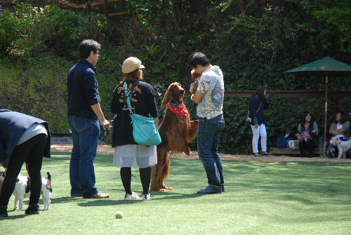 42902DSC_0003.jpg