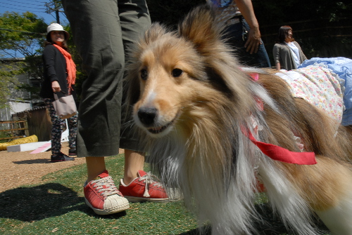 42903DSC_0044.jpg