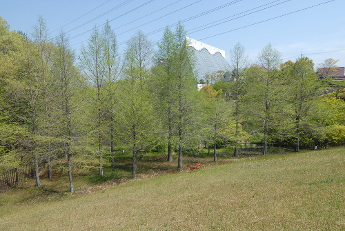 42903DSC_0091.jpg