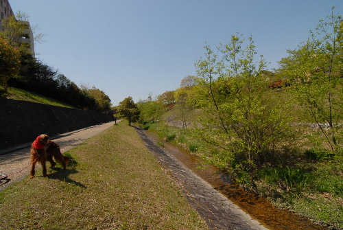 42906DSC_0107.jpg