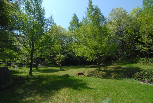 42908DSC_0120.jpg