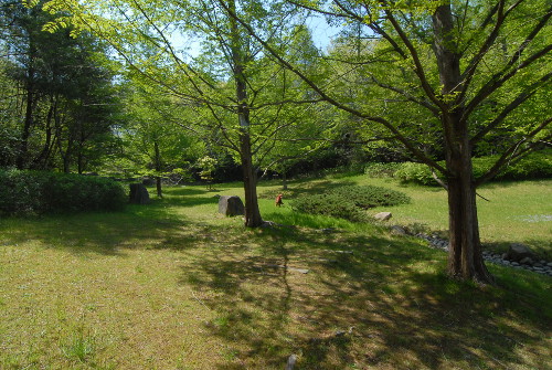 42909DSC_0124.jpg