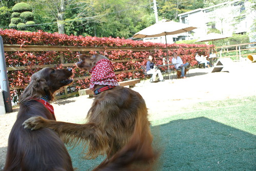 42910DSC_8596.jpg