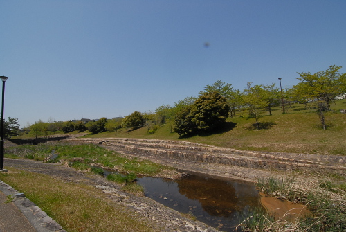 42910SC_0130.jpg
