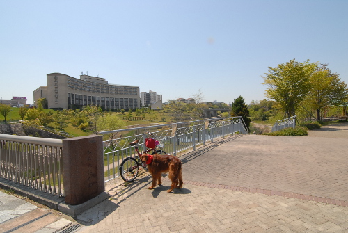42914DSC_0144.jpg