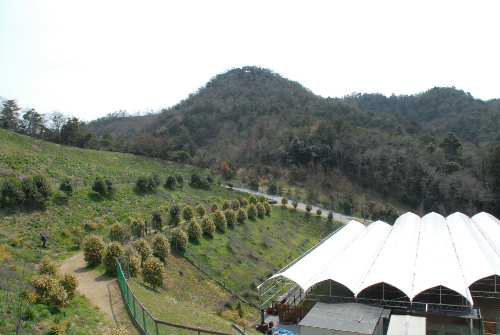 DSC_0029.jpg