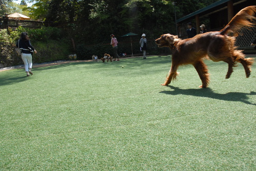DSC_0048.jpg