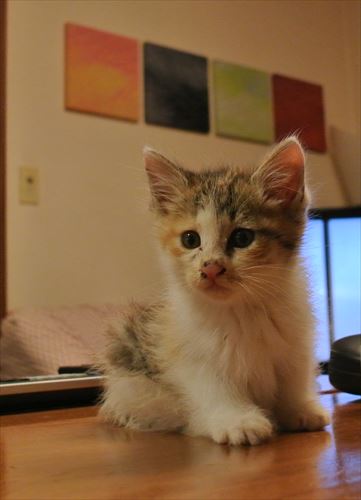DSC_0053_R.jpg