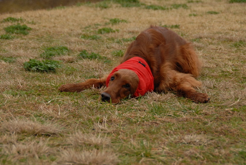 DSC_0074.jpg