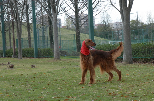 DSC_0152.jpg
