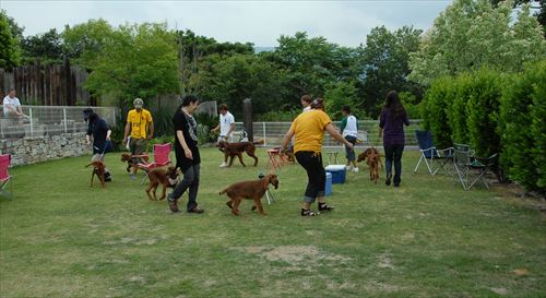 DSC_0173_R.jpg