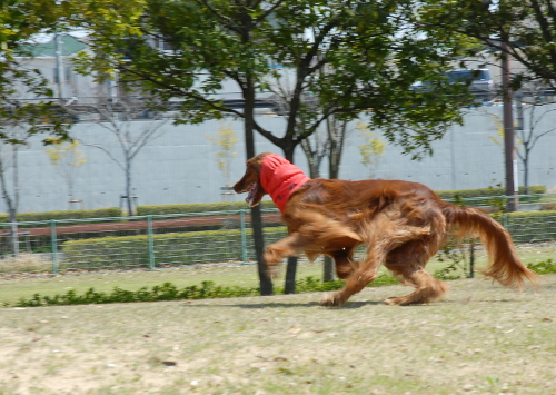 DSC_0182.jpg