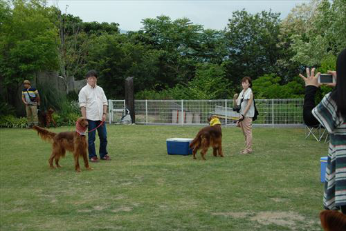 DSC_0198_R.jpg