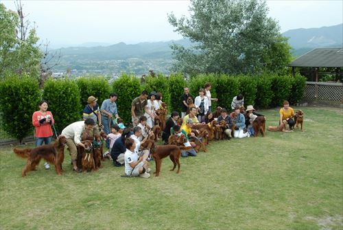 DSC_0212_R.jpg