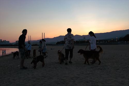 DSC_0576_R.jpg