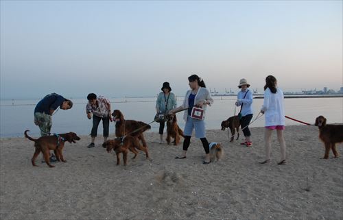 DSC_0582_R.jpg