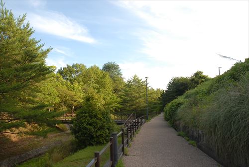 DSC_0833_R.jpg