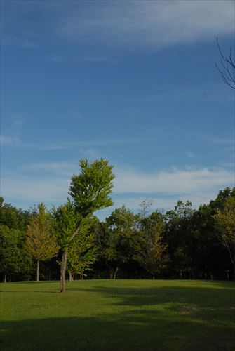 DSC_0845_R.jpg
