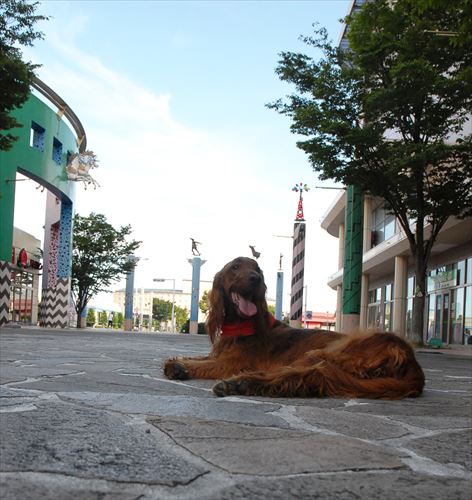 DSC_0914_R.jpg