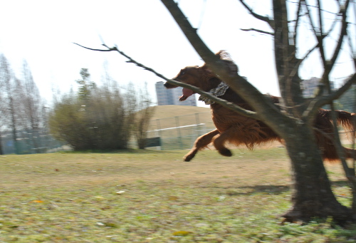 DSC_7432.jpg
