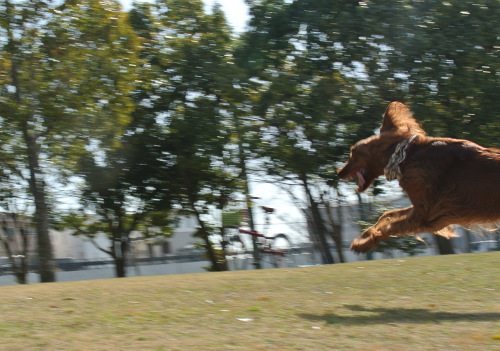 DSC_7434.jpg