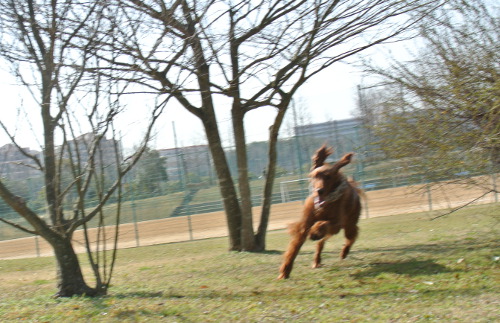 DSC_7444.jpg