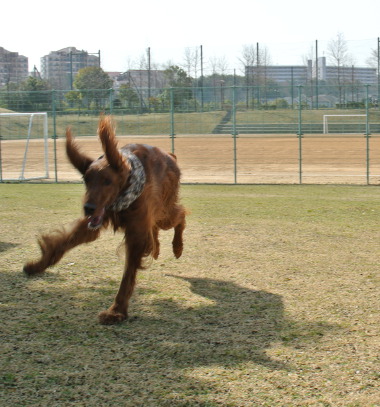 DSC_7525.jpg