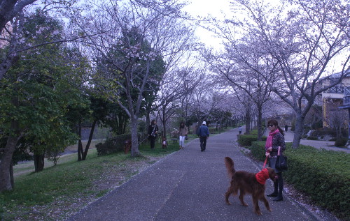 DSC_7797.jpg