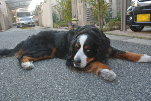 DSC_7895.jpg