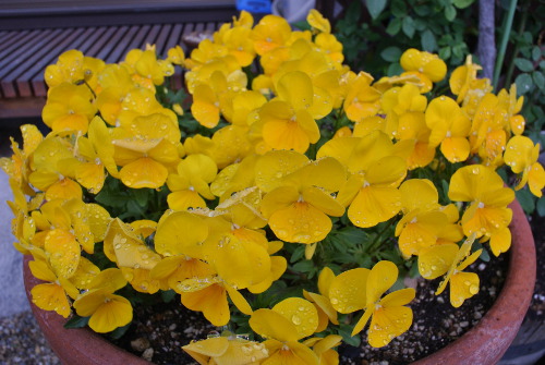 DSC_8282.jpg