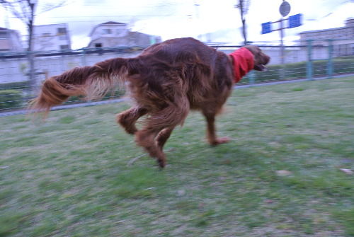DSC_8285.jpg