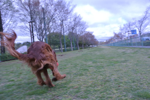 DSC_8292.jpg