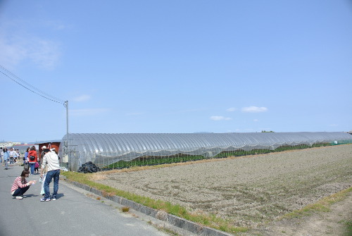 DSC_8629.jpg