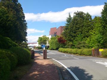 DSC_0204.jpg