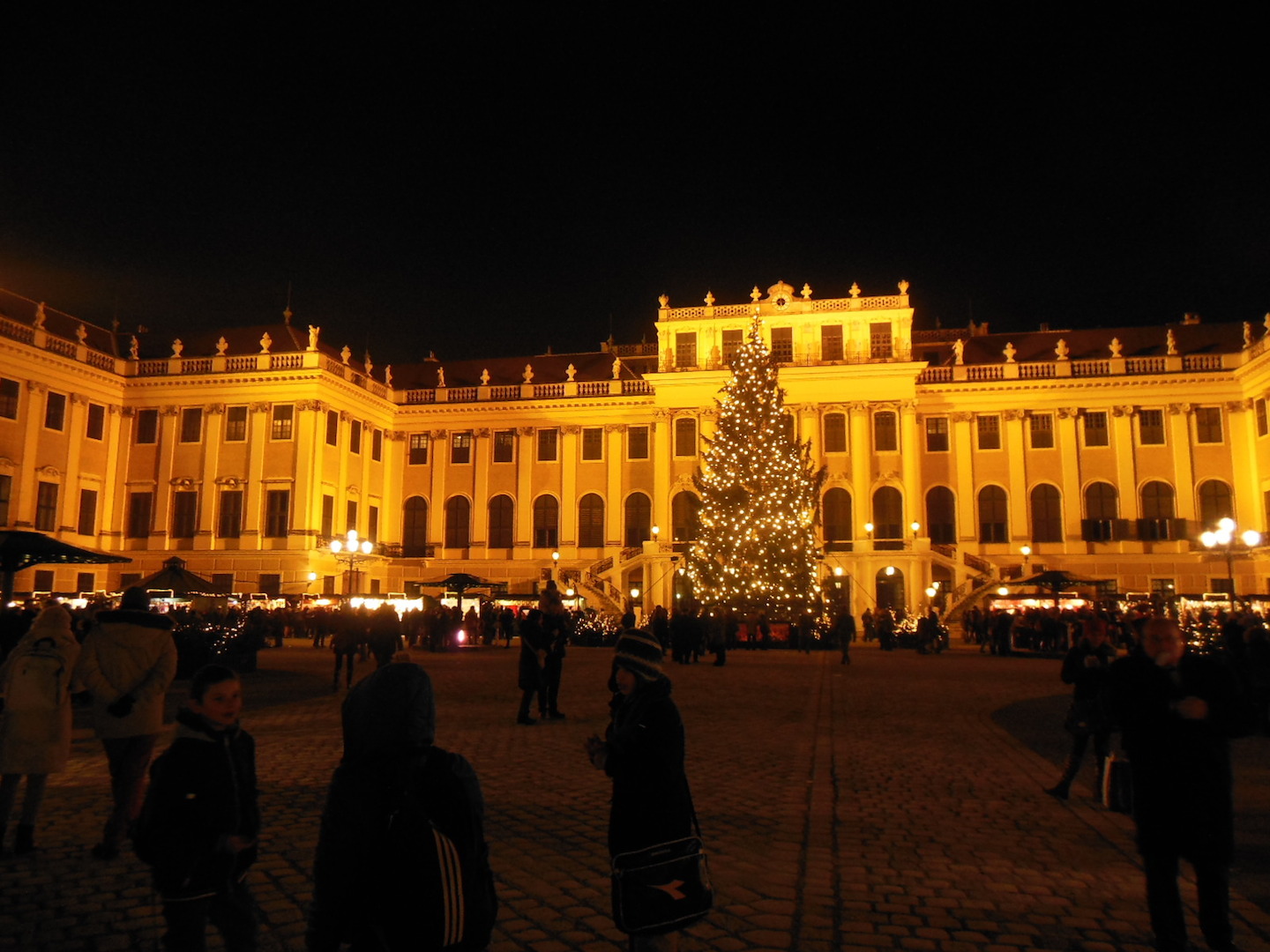 DSCN2009.jpg