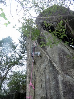 CIMG2787.jpg