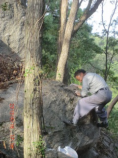 oyakata.jpg