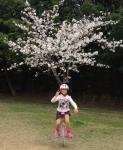 南公園