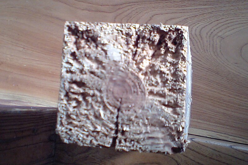 0123-02.jpg