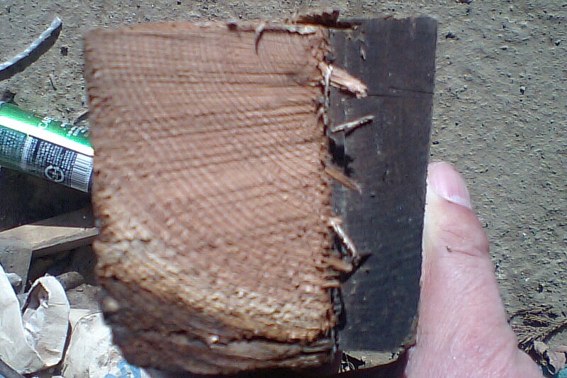 0123-05.jpg
