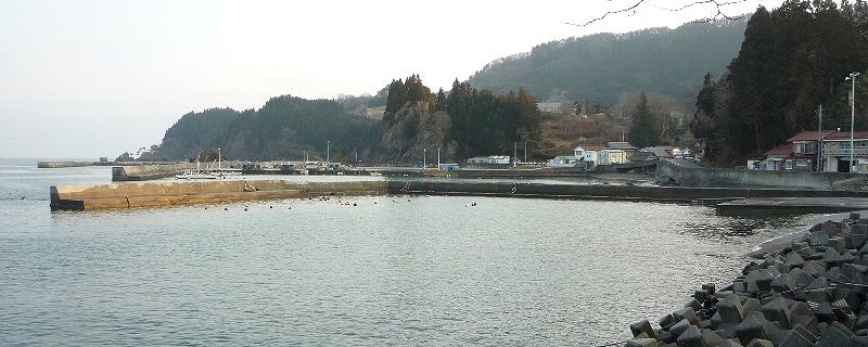 2028-7.jpg