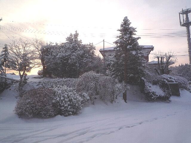 200602-001.jpg