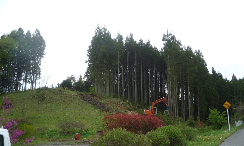 0521-11.jpg