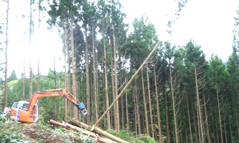 0521-13.jpg