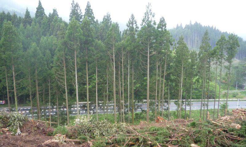 0521-14.jpg