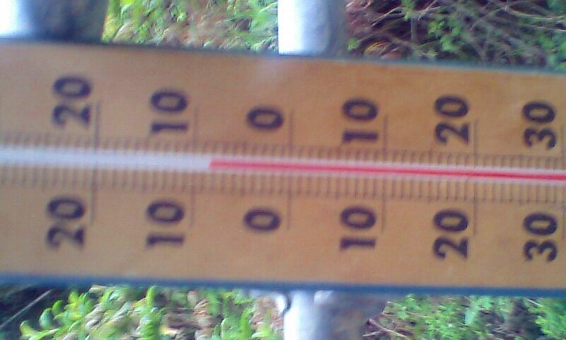 1311.jpg