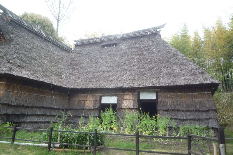 1120.jpg